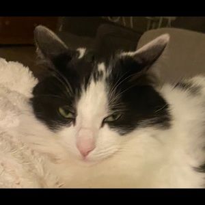 Meet your Posher, Austyn